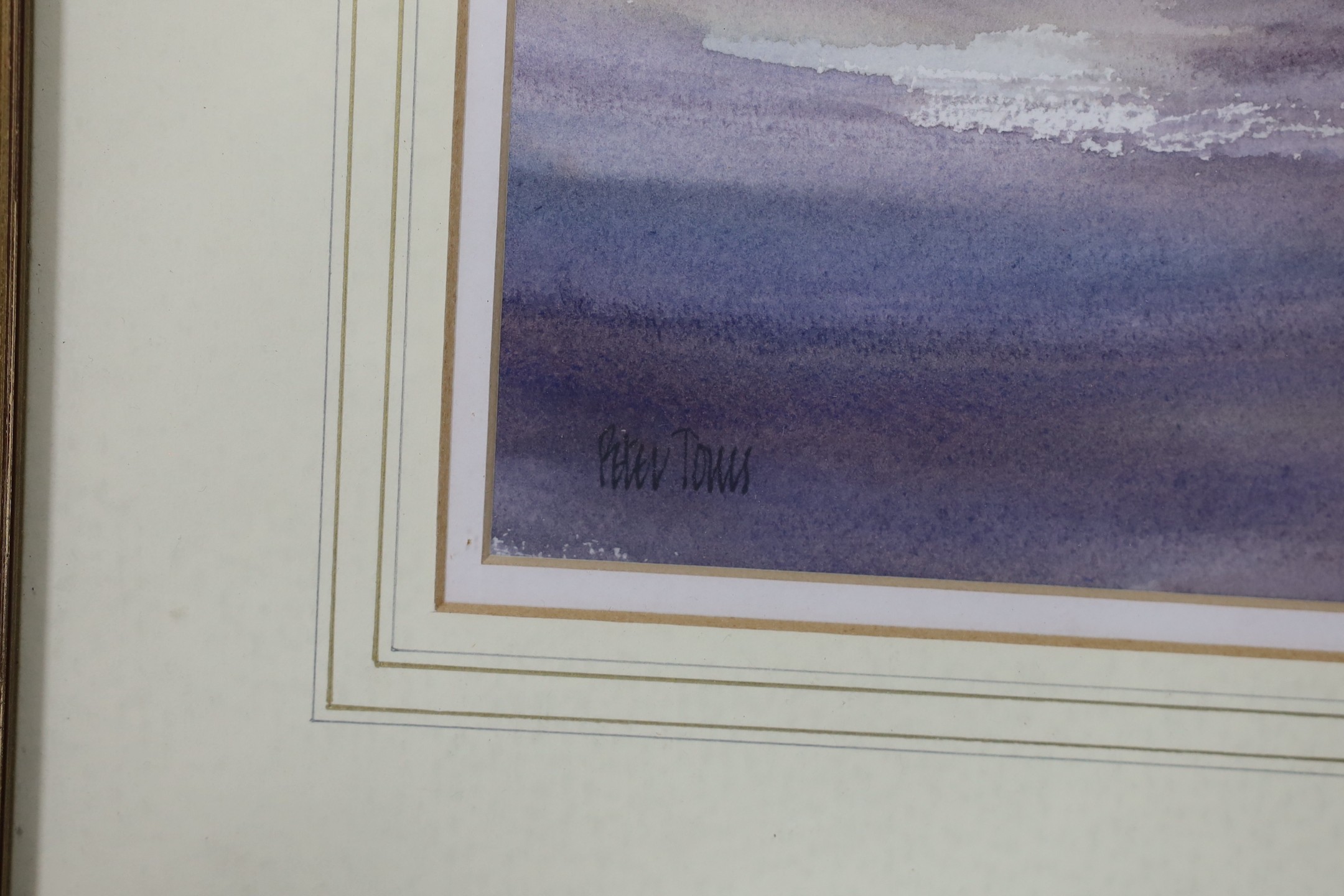 Peter Toms (b.1940), watercolour, 'Into The Sun', signed, 21 x 32cm